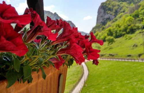 Corral de Bartolo - Foto 15