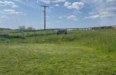 Ferienwohnung mit Kamin und traumhafter Dachterrasse mit Weitblick in die Natur - Foto 29