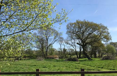 Maesyfelin Isaf Apartment - Foto 19