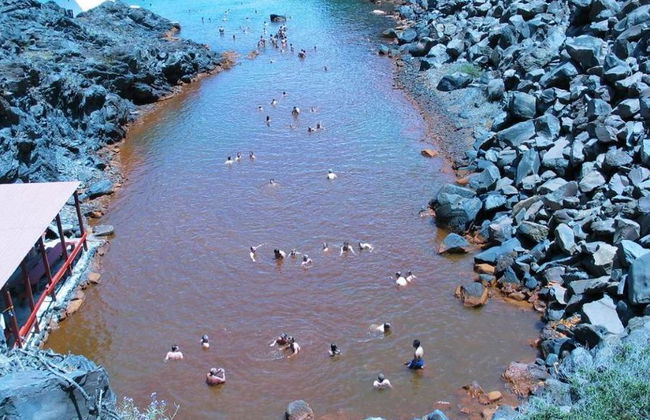 Volcan - Visite privée - Photo 1