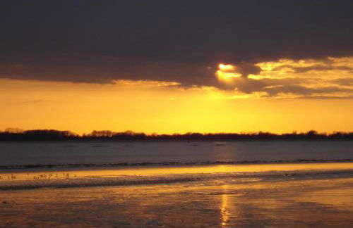 Elbe Ferienwohnung Glückstadt - Foto 24