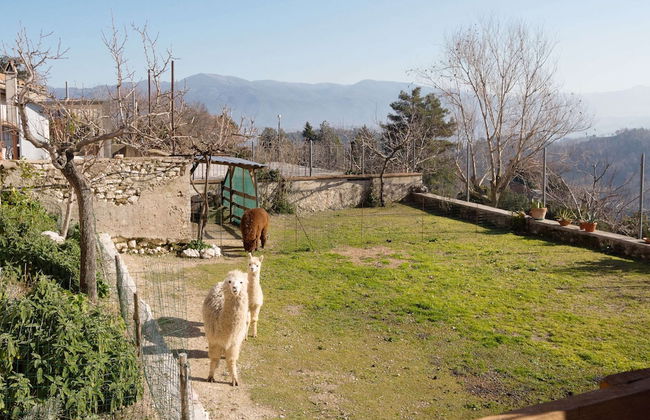 Sun-kissed Holiday Home With Swimming Pool - Photo 16