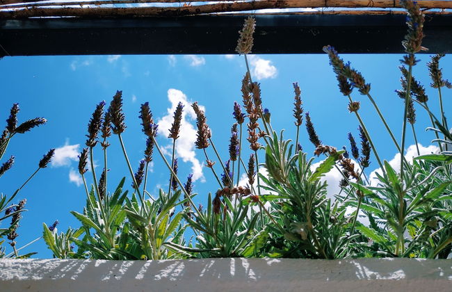 Casa Campana - Photo 32