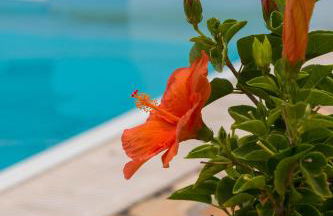 Resort Capo Bianco - Foto 19