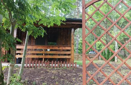 Zielenina Leśny Domek - Foto 39