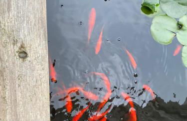 The Varnadoe Villa- Farm Stay - Foto 30