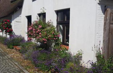 Fischerstern - Foto 1