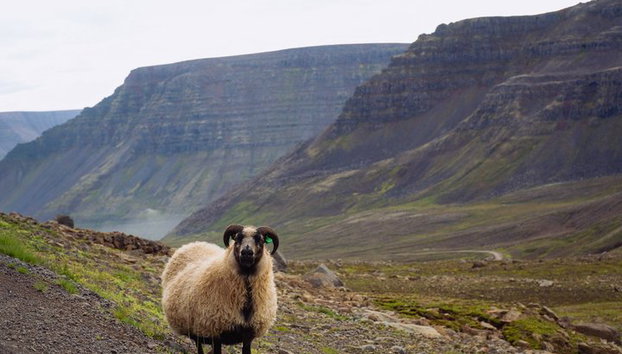 Tour de eclipse solar 2026 - Foto 3