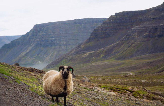 Tour de eclipse solar 2026 - Foto 3