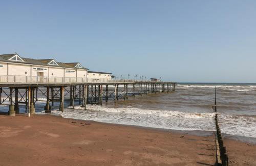 Sea Thrift - Photo 19