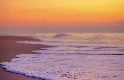 HOSSEGOR LA VIGIE entre lac et océan - Foto 9