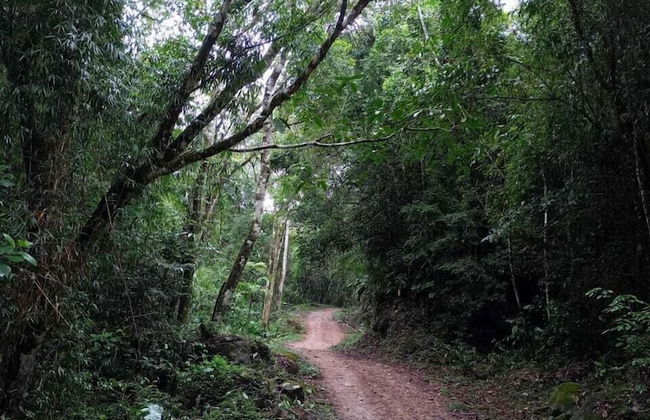 Sítio Toca da Aldeia - Foto 21