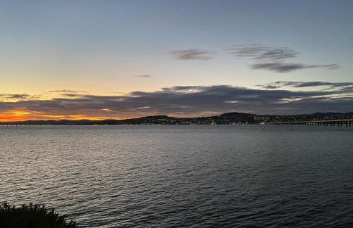 Lazy Bulldog - Foto 16