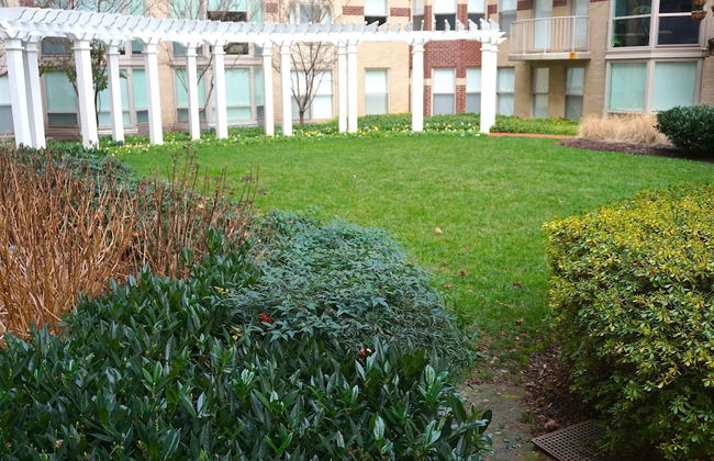 2 BR Fully Furnished Apartment at Penn Quarters - Surrounded by Best Restaurants in Town - Foto 30