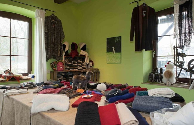 Holiday Apartment Alpakahof Blomberg - Foto 12