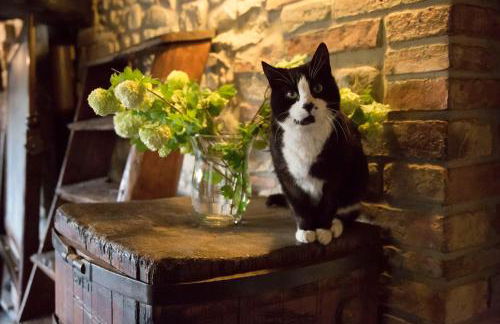 Borgo San Benedetto - Foto 21