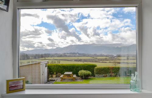 The Tottsie - Foto 6