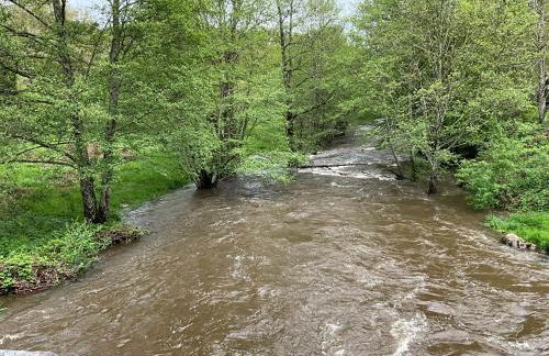 La petite vallée - Photo 31