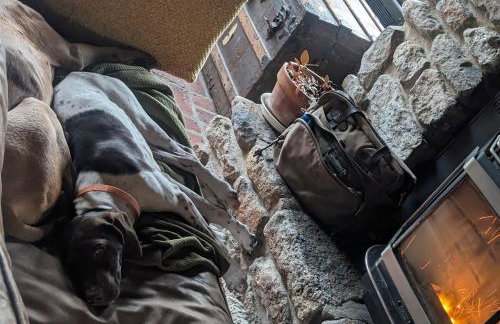 Homestead Upper Bucks - No Pet Fees - Foto 38