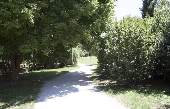 Nice Apartment in an English Style Building On the First Floor, With air Conditioning, Wifi and Sewing - Foto 24