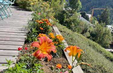 La marmotte qui papote - Photo 74