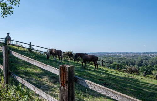 Holiday Home Elena by Interhome - Foto 37