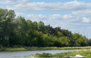 Domek w lesie - Photo 21