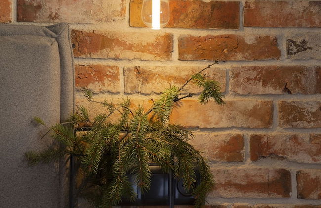 Green Deer Premium - Foto 45