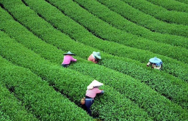 Shen Shan Lin Nai B&B - Photo 36