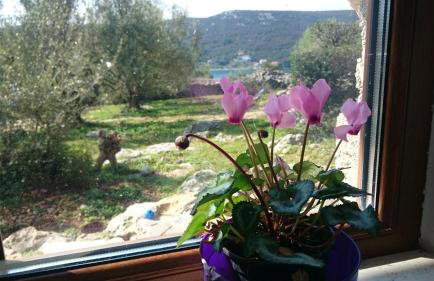 Holiday Home Strpuncina - Photo 37