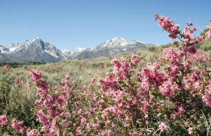 Residence Nube D'Argento - Foto 22