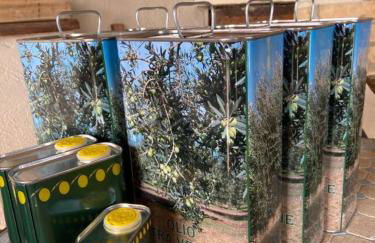 Tramontana Casetta - Foto 16