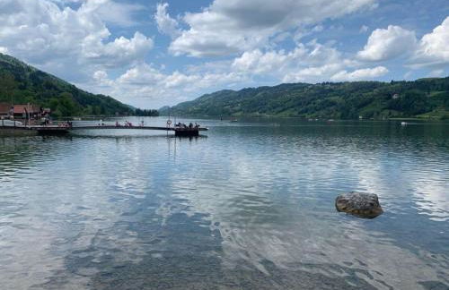 Holiday apartment Alpsee Thirteen - Photo 14