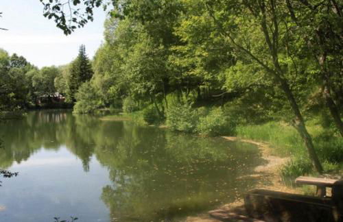 Ferienwohnung Dittrich - Photo 40