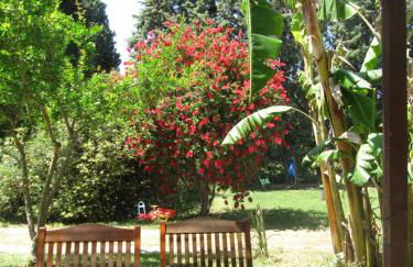 Agriturismo Torre Del Golfo - Foto 25