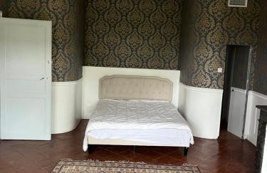 Maison de maître de 700 m2 en plein cœur de Castelnaudary - Foto 8