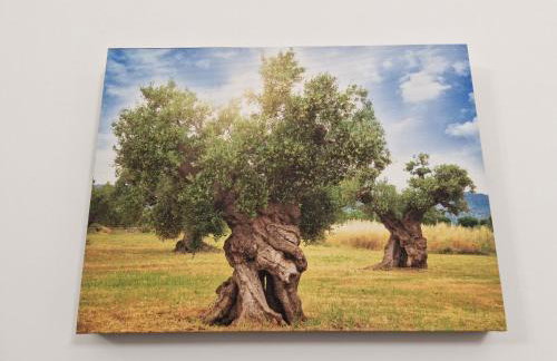 Le tre anfore - Foto 27