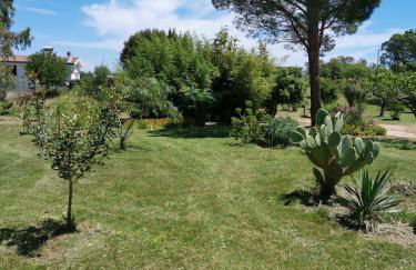 Green House - Foto 51