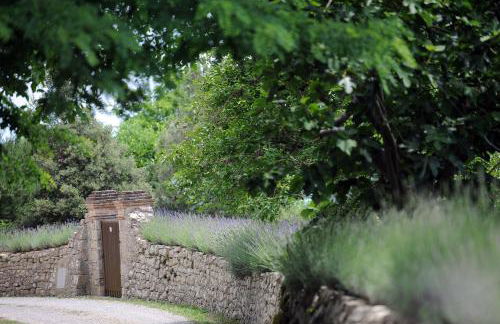 Castello di Fighine - Foto 50