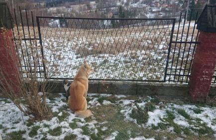 Apartamenty Widokowa Korbielów - Foto 70