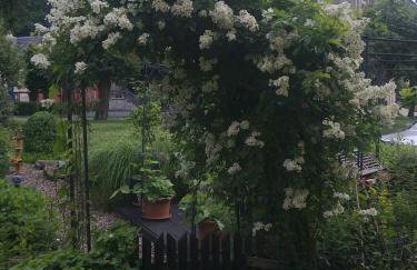 Klostermühle - Foto 19