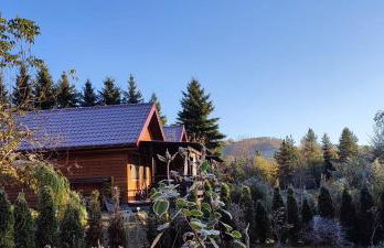 Księżycowe Domki w Bieszczadach - Foto 1