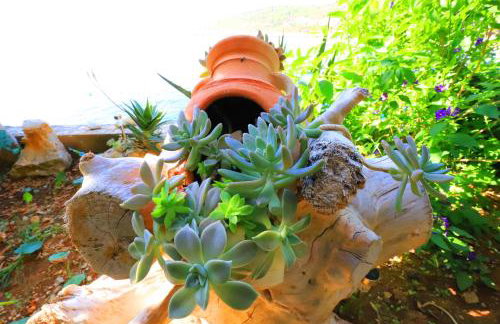 Apartments Ranko - Foto 52