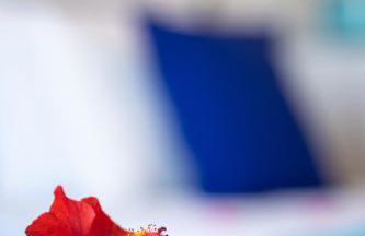 Gennadi Sun Apartments 500m from the beach - Foto 31