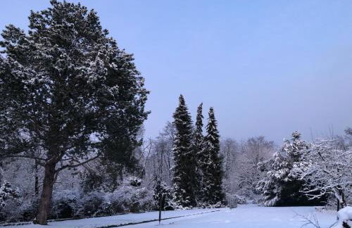 Über den Dächern von Koblenz - Aussichts-Wohnung Naturpark Rheinblick, ruhig, zentrumsnah, Sport-Pool - Foto 14