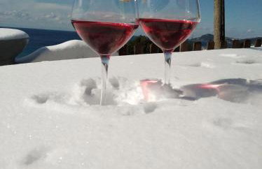 Villa Olga studios - Foto 26