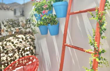 Recuerdos del Sur - Foto 4