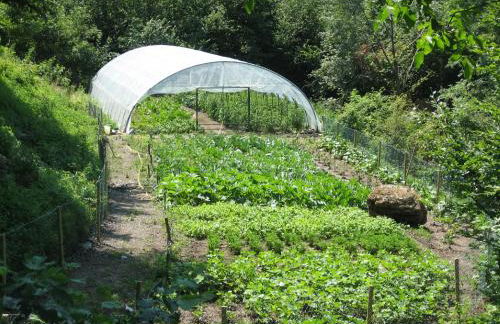 Agriturismo Al Marnich - Foto 12