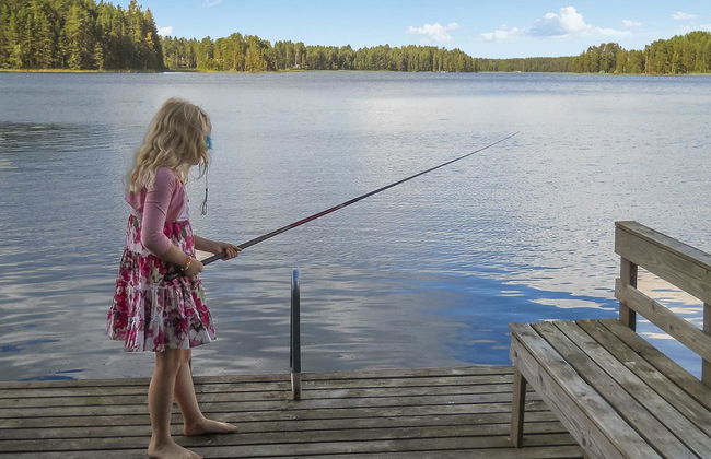 Palkinniemi - Foto 7