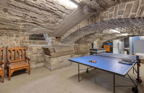 Admiral Vanessa - Foto 9